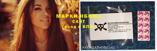 шишки Майский