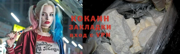 шишки Майский