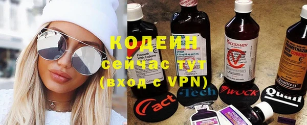 шишки Майский