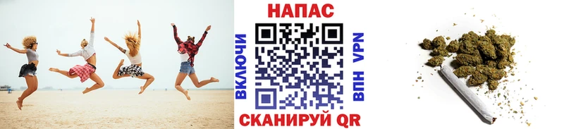 Шишки марихуана марихуана Пугачёв