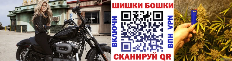 Шишки марихуана семена  Пугачёв 
